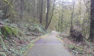 Champoeg bike path.